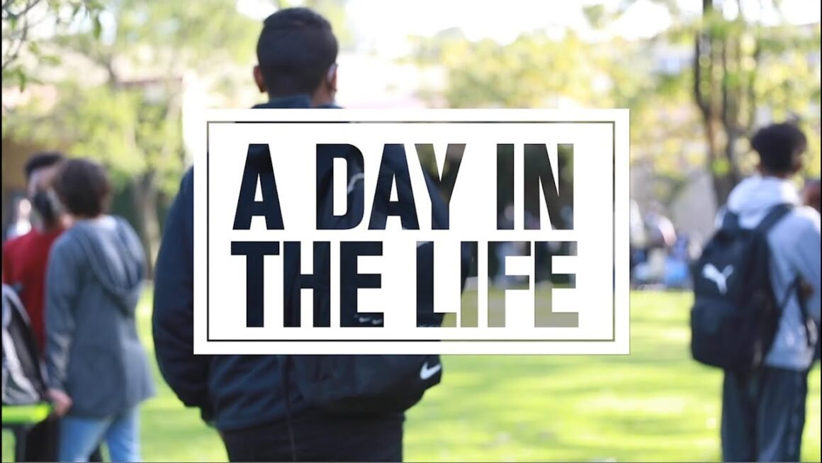 A Day in the Life of a BBA Student: What to Expect