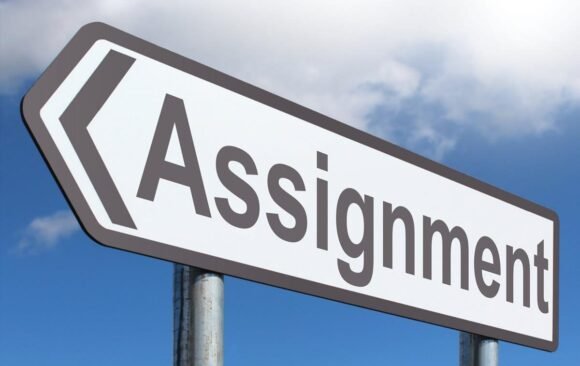 Typical BBA Assignments and How to Approach Them