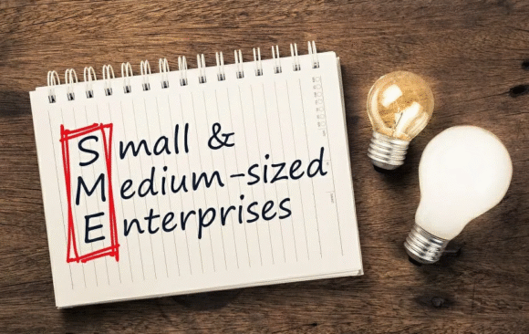 Beyond the Startup: Managing a Small to Medium-Sized Enterprise (SME) with a BBA